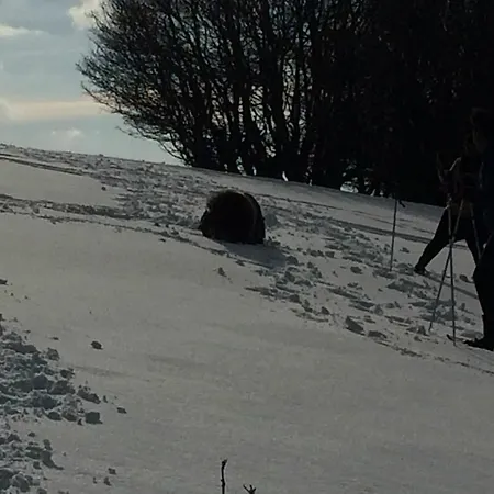 Gite De L'ours