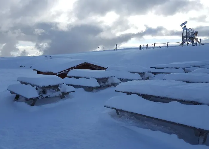 Prázdninový dům De L'ours La Bresse
