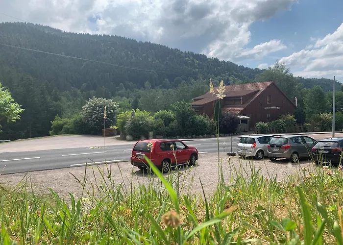 De L'ours * La Bresse