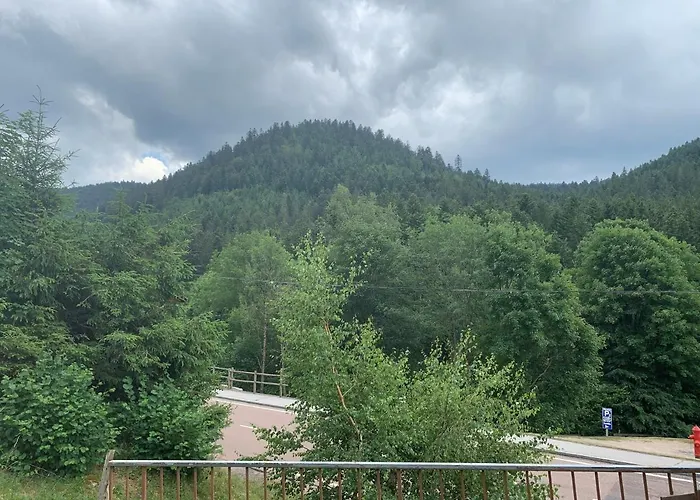 De L'ours Prázdninový dům *