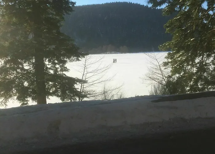 Prázdninový dům De L'ours